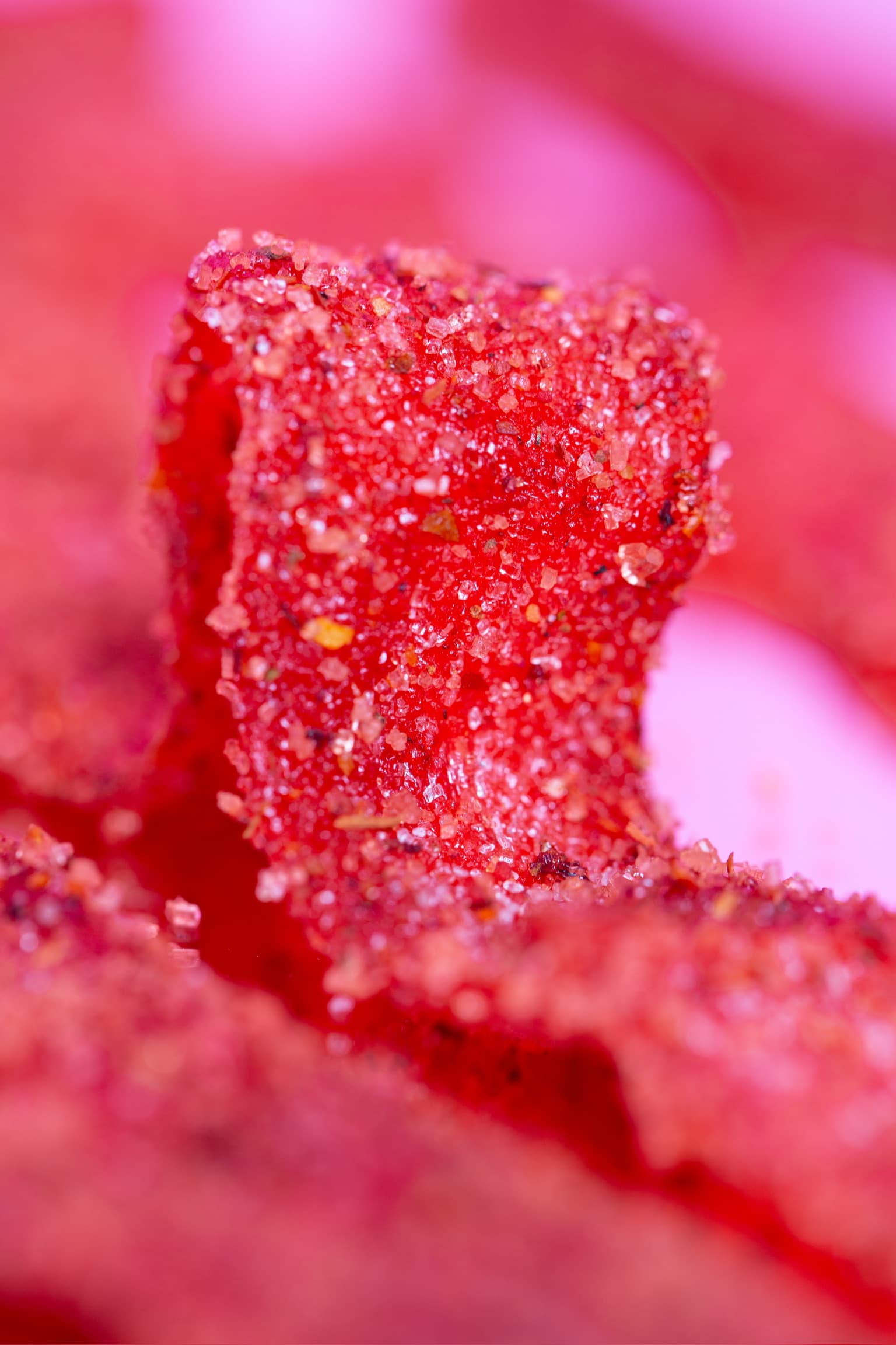 Strawberry Stripes - 1